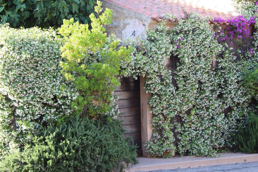 Bed and Breakfast La Porta Sulla Costa San Pantaleo Exterior foto